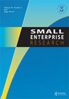 Small Enterprise Research