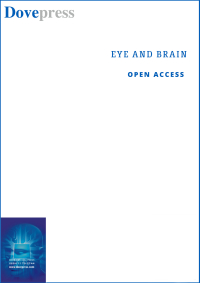 Eye And Brain